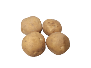 감자 찜용 500g (4~5개) 2023년산